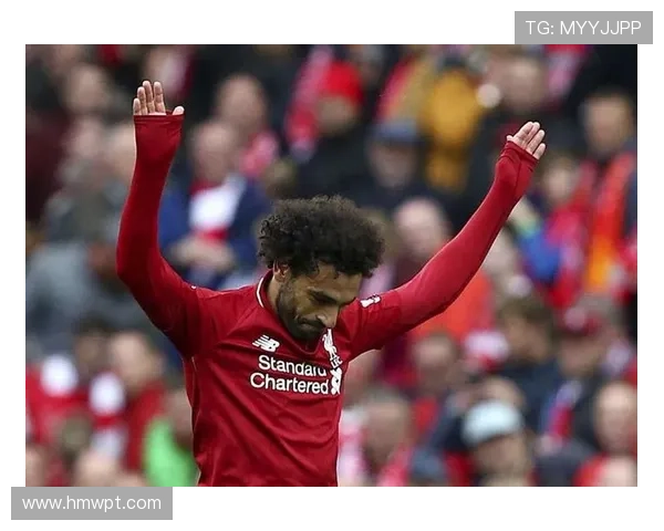 南安普顿足球俱乐部历程探秘:从辉煌到挑战的转折之路